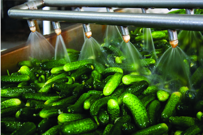 Fresh vegetables being washed